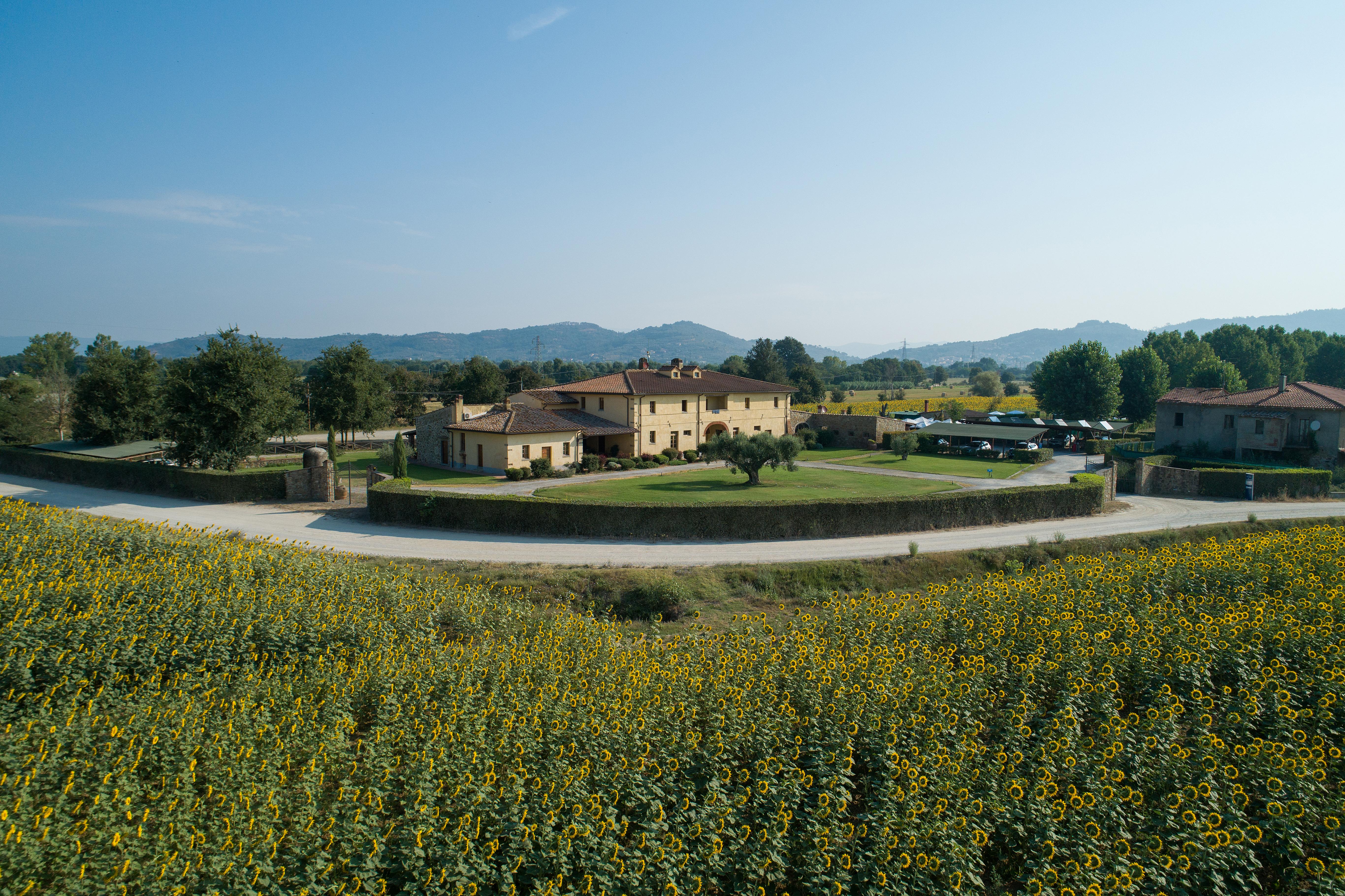 Hotel Le Capanne Arezzo Dış mekan fotoğraf